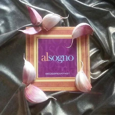 B&B Alsogno