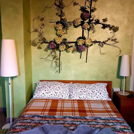 Alsogno 3*
