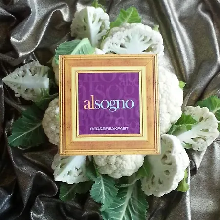 Alsogno 3*