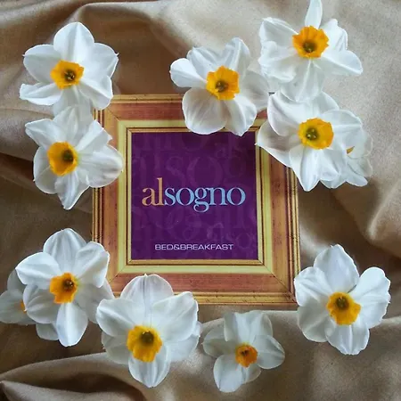 Alsogno San Savino (Rimini)